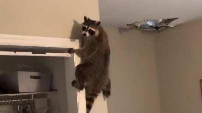 Yup that’s me. You’re probably wondering how i ended up in this situation…