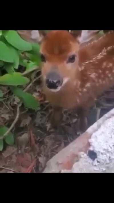 Meh🥺meh🥺meh😈