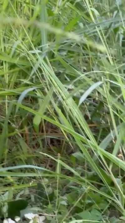 Kathryn Bernardo Nivea BTS