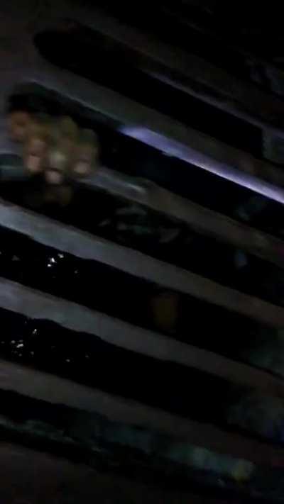 Floridaman, on crick, crawls through sewers while singing Amazing Grace (All parts)