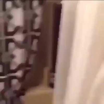 Bah mas que coelho esquisito