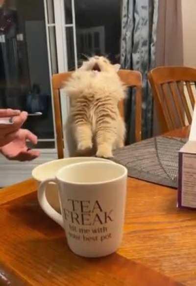 Ever had an ice-cream so good that it took you to another dimension