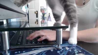 My cat loves stepping on my keyboard, probs gonna try this 🤣