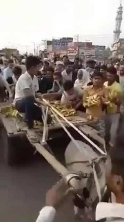 Muz satan çocuğu yağmalayan müminler.