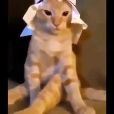 Khajiit is sadly out of wares to sell you.