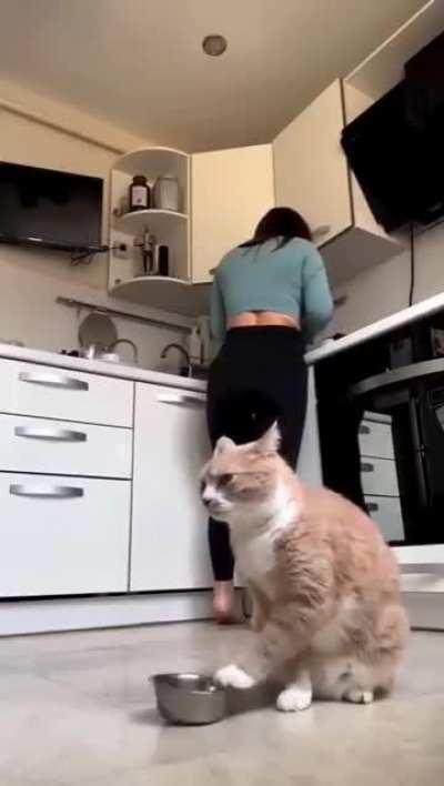 Cat food protest,Mom ignored með¾