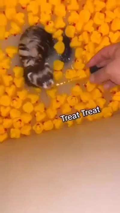 Awwwnn he's so cute😍