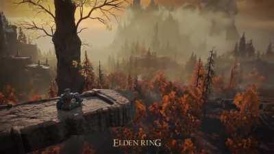 ELDEN RING VIDEO TWEET
