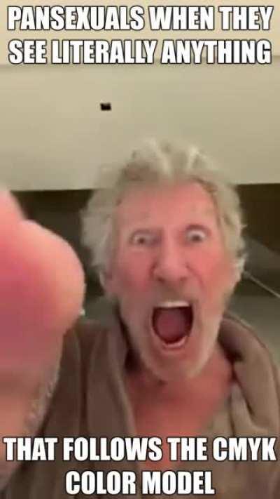 LOOK GUYS ITS THE THE THE PANSEX FLAG