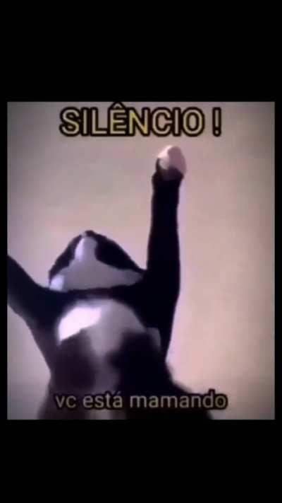 Calada vagabunda🍷🗿