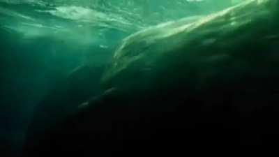 Top 10 scariest sea monsters