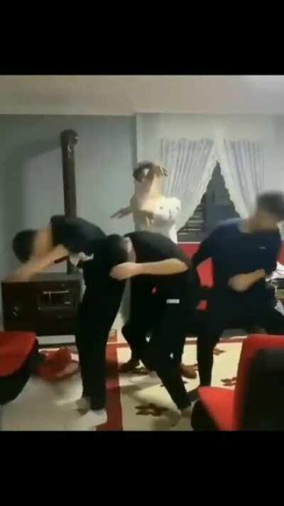 netflix dizileri olur gibi