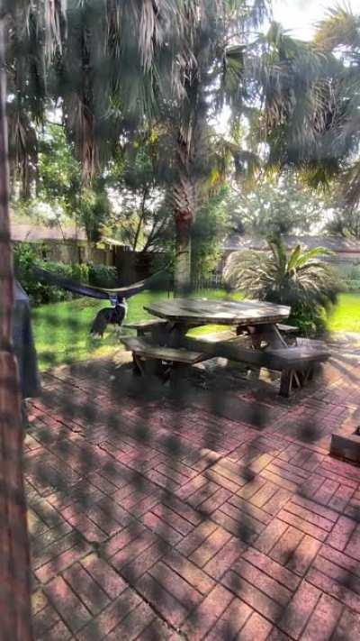 There was a ball in the hammock. Now there’s a hole in the hammock.