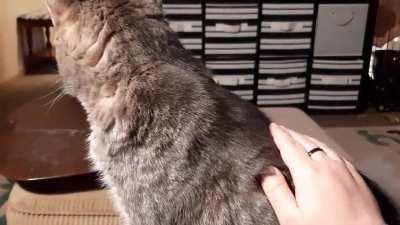 Licky spot gotta lick