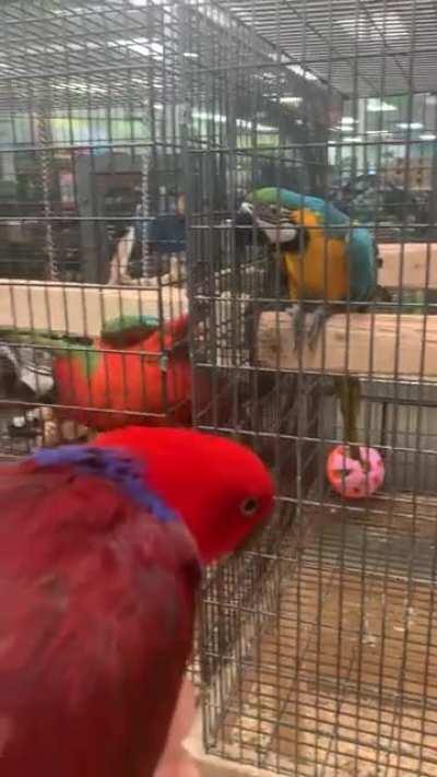 Ruby Brings The Party Wherever She Goes