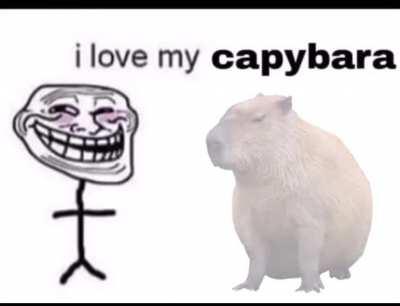 I love my capybara!