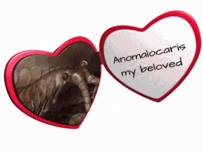 What are the best subreddits 