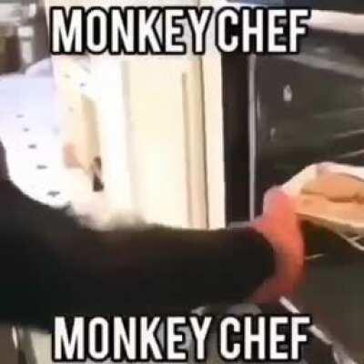 Gordon Ramsey been kinda quiet since this released 😶