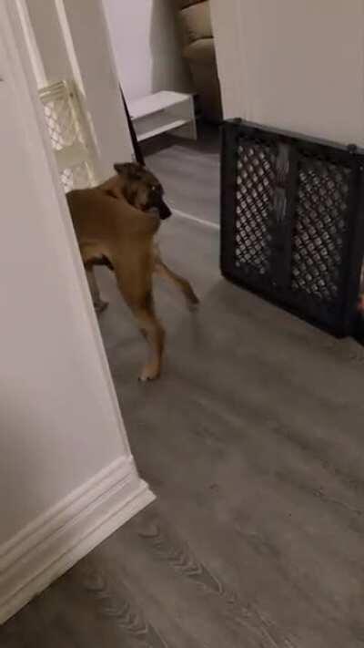 I'll just bring this with me