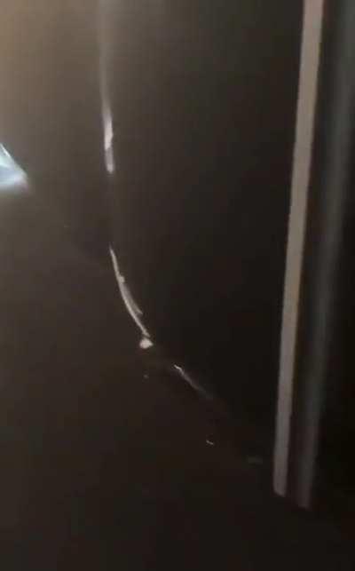 This whole thing is WTF!