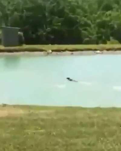 КУПАТЬСЯ!!!!