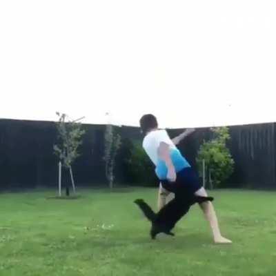 Cats are hard to impress