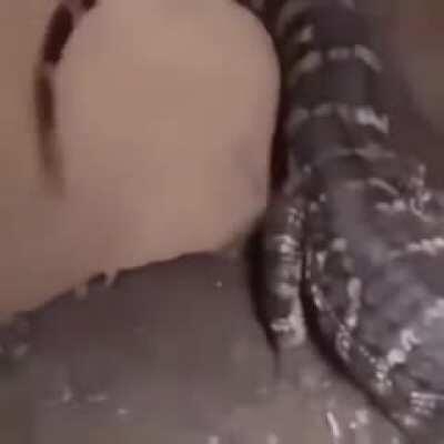 Shitpost 139 miedo o ternura