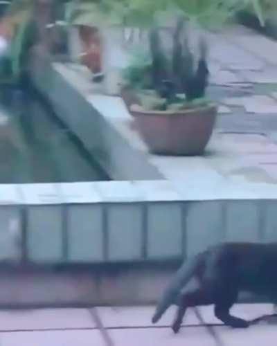 Оскорбление брошено, извиняться поздно....