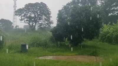 I bless the rain down in Africa