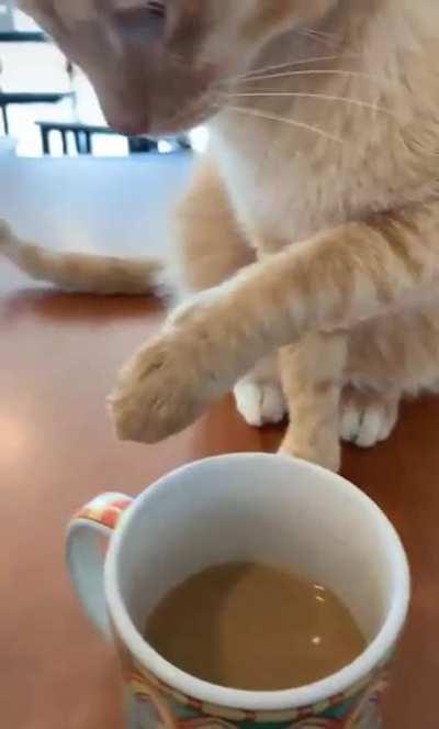 He dosen't know why he did it either.