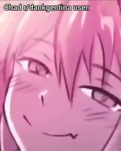 La vida de un chad dankgentino es hermosa