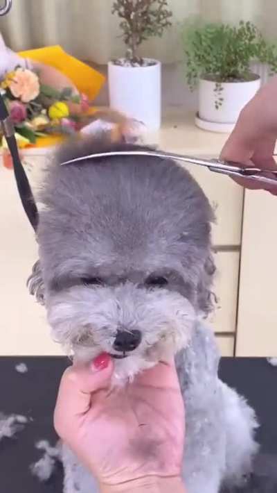 HMK I'm getting my hair done