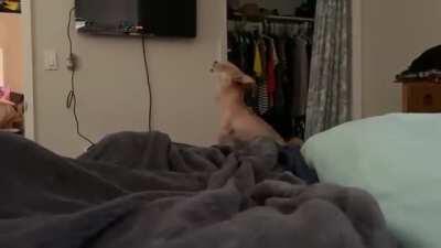 cAt cHoKeS OuT AnNoYiNg dOg