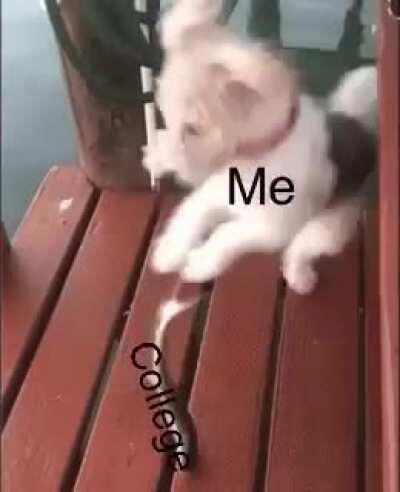 Wouldn’t recommend