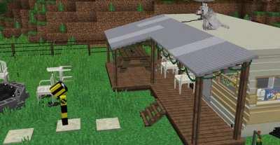 How did you even get up there?