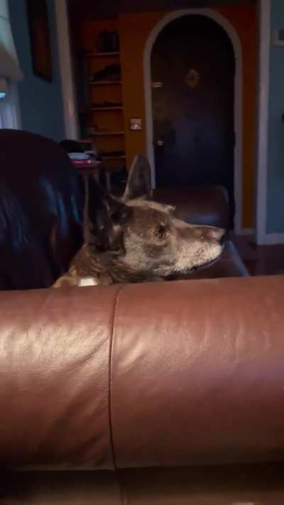 Lots of sirens this morning 