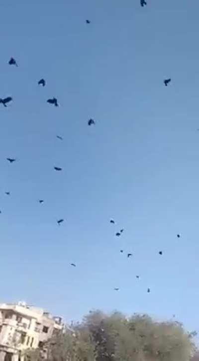 Raw footage of guys being dudes