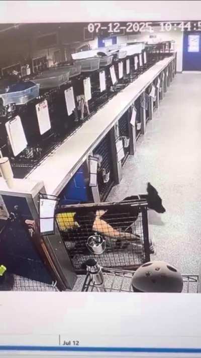 Just another day at work