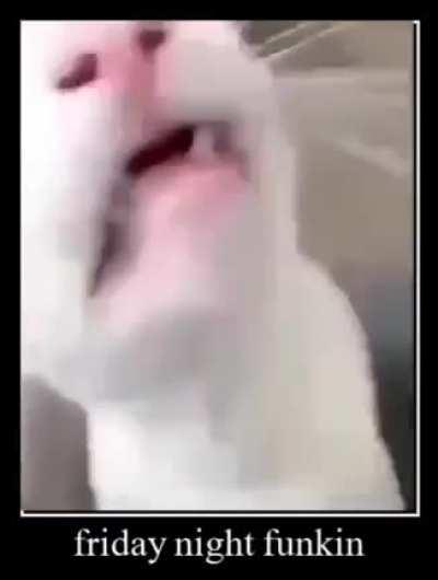 boop bee bop boop rule