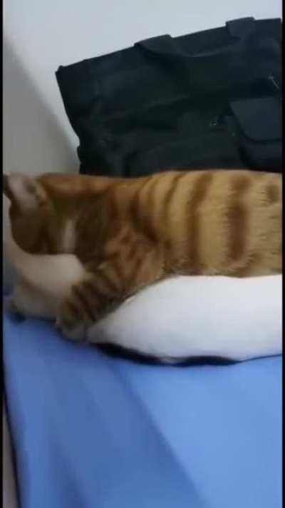 Любовь это...