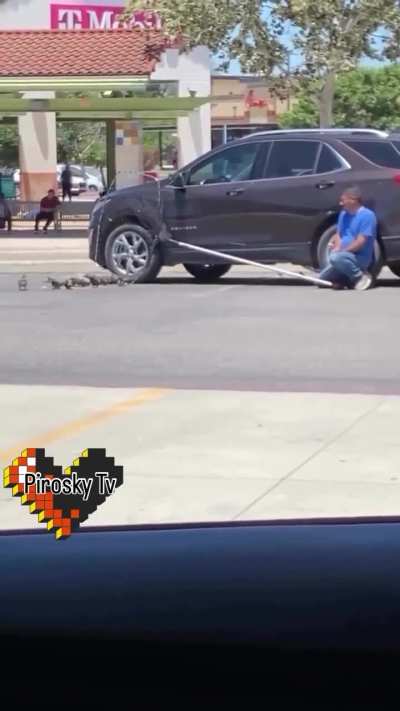 What does the dude do with pigeons?