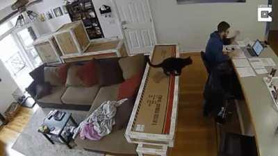 Catlulated jump to slide