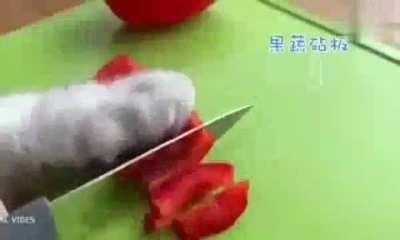 Meu gato depois de comer o ratatouille