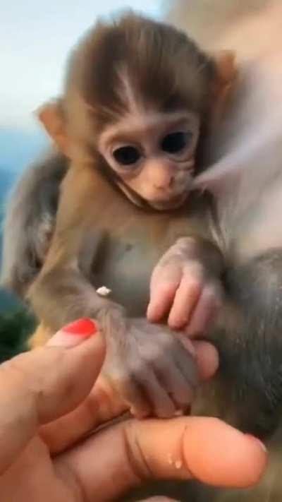 That Made My Day.....