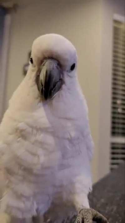 Kevin has a Wednesday morning motivational message for all the partiers