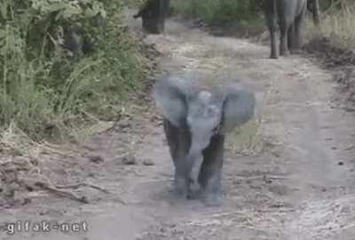 Boop...got u... hahahaha...