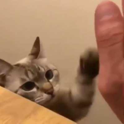 High five and a wink.