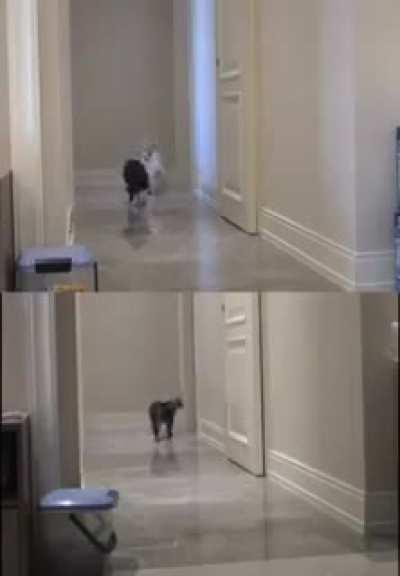 What really kill us are the 