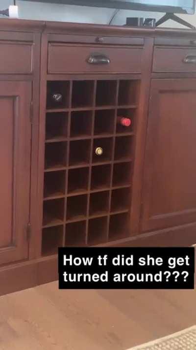 Still trying to wrap my head around how she did this..