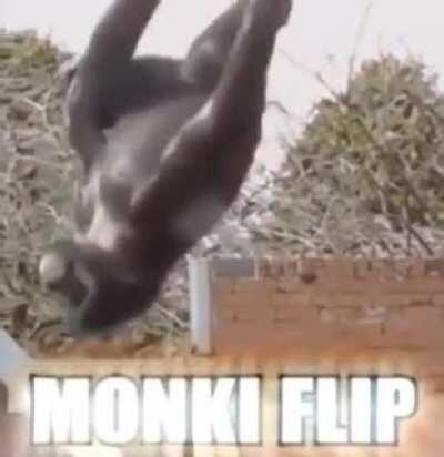 Monki flip